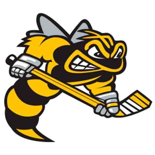 Sarnia Sting